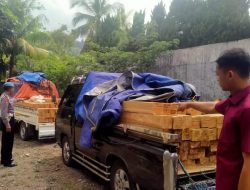 Inilah Pengakuan Dua Sopir Muatan Kayu Jati Olahan Ilegal yang Berhasil Digagalkan Usai Diperiksa Polsek Bangorejo Banyuwangi