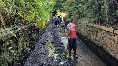 Program “Padat Karya” Pemkab Banyuwangi, Sudah Menjangkau Kurang Lebih 2400 Warga Pra Sejahtera