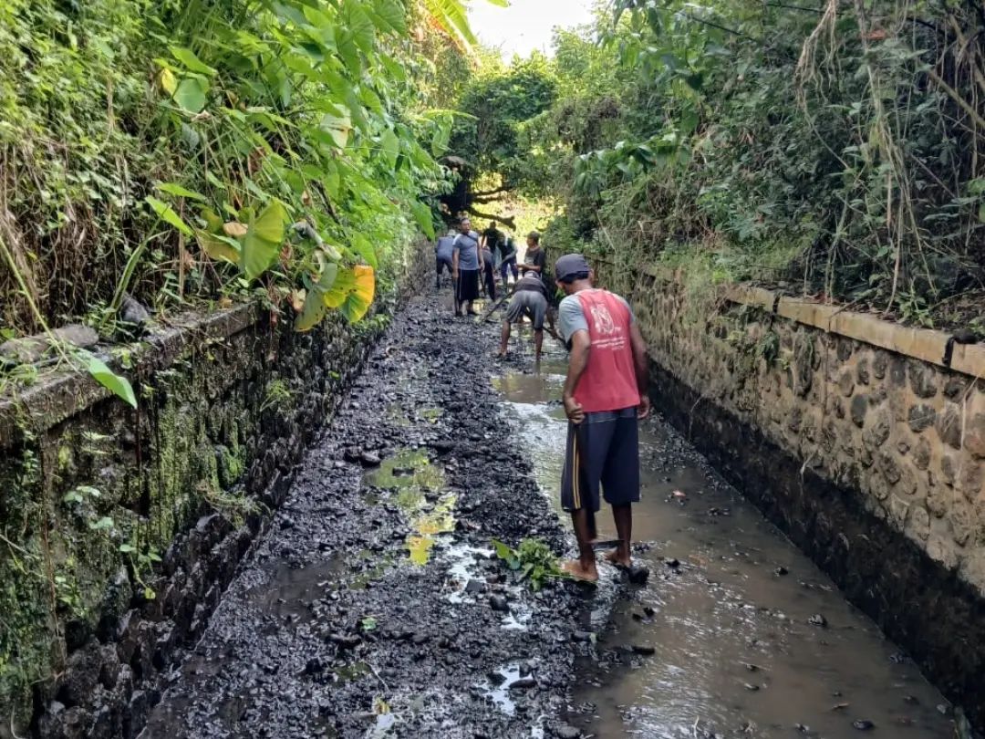 Program “Padat Karya” Pemkab Banyuwangi, Sudah Menjangkau Kurang Lebih 2400 Warga Pra Sejahtera