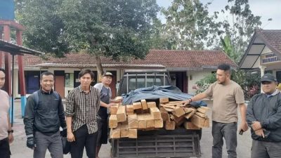 Aksi Pengiriman Kayu Jati Ilegal Kembali di Gagalkan Polhutmob Perhutani KPH Banyuwangi Selatan