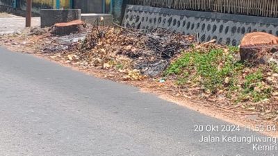 Penebangan Pohon Mahoni Pinggir Jalan Desa Kemiri Tidak Ada Ijin Dinas PU CKPP