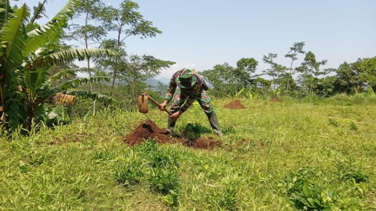 Ratusan Pohon Akan Ditanam Saat Penutupan Satgas TMMD Kodim Pemalang di Desa Tambi