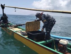 Lanal Banyuwangi Berhasil Gagalkan Upaya Penangkapan Ikan dengan Potasium