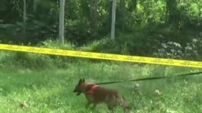 Polresta Banyuwangi Terjunkan Anjing Pelacak Untuk Ungkap Kasus Rudapaksa dan Pembunuhan CNA di Kalibaru