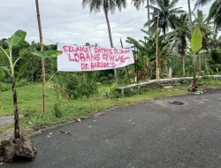 Warga Pasang Spanduk Sindiran dan Tanami Pohon Pisang di Jalan Antar Dusun Desa Barurejo Banyuwangi, Protes Jalan Rusak