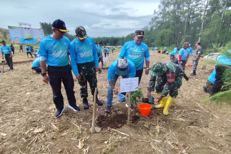 Ribuan Tanaman Buah dan Pinus Ditanam di Lahan Perhutani KPH Banyuwangi Barat dalam Kegiatan Sedekah Oksigen