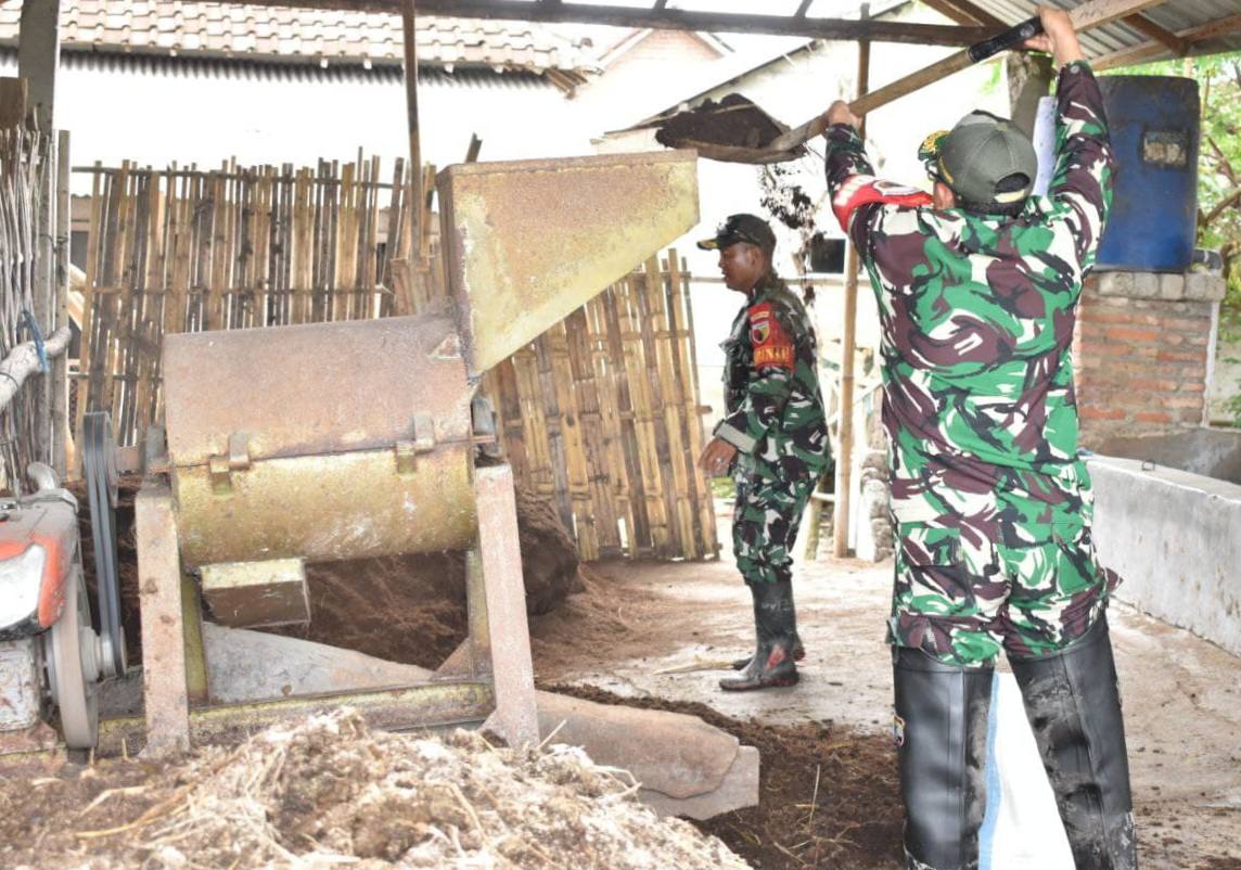 Dorong Produktivitas Pertanian Berkelanjutan, Dandim 0825/Banyuwangi Laksanakan Pembuatan Pupuk Organik