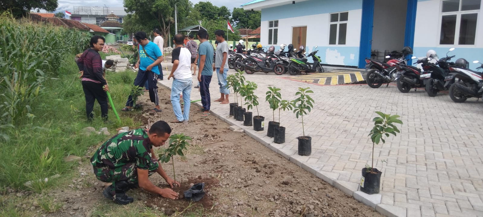 Danramil 0825/12 Rogojampi Pimpin Penanaman 24 Pohon Alpukat di Satuan Pelayanan Pemenuhan Gizi (SPPG) Unit Rogojampi