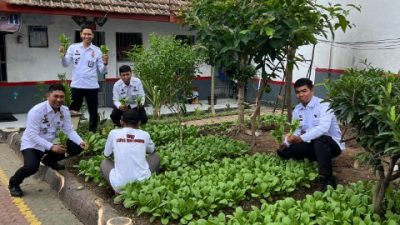 Manfaatkan Lahan Terbatas, Lapas Banyuwangi Berhasil Panen Sayur Pokcoy