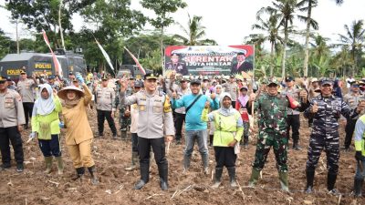 Pemkab Banyuwangi Dukung Penanaman Jagung Serentak 1 Juta Hektare Untuk Ketahanan Pangan Nasional