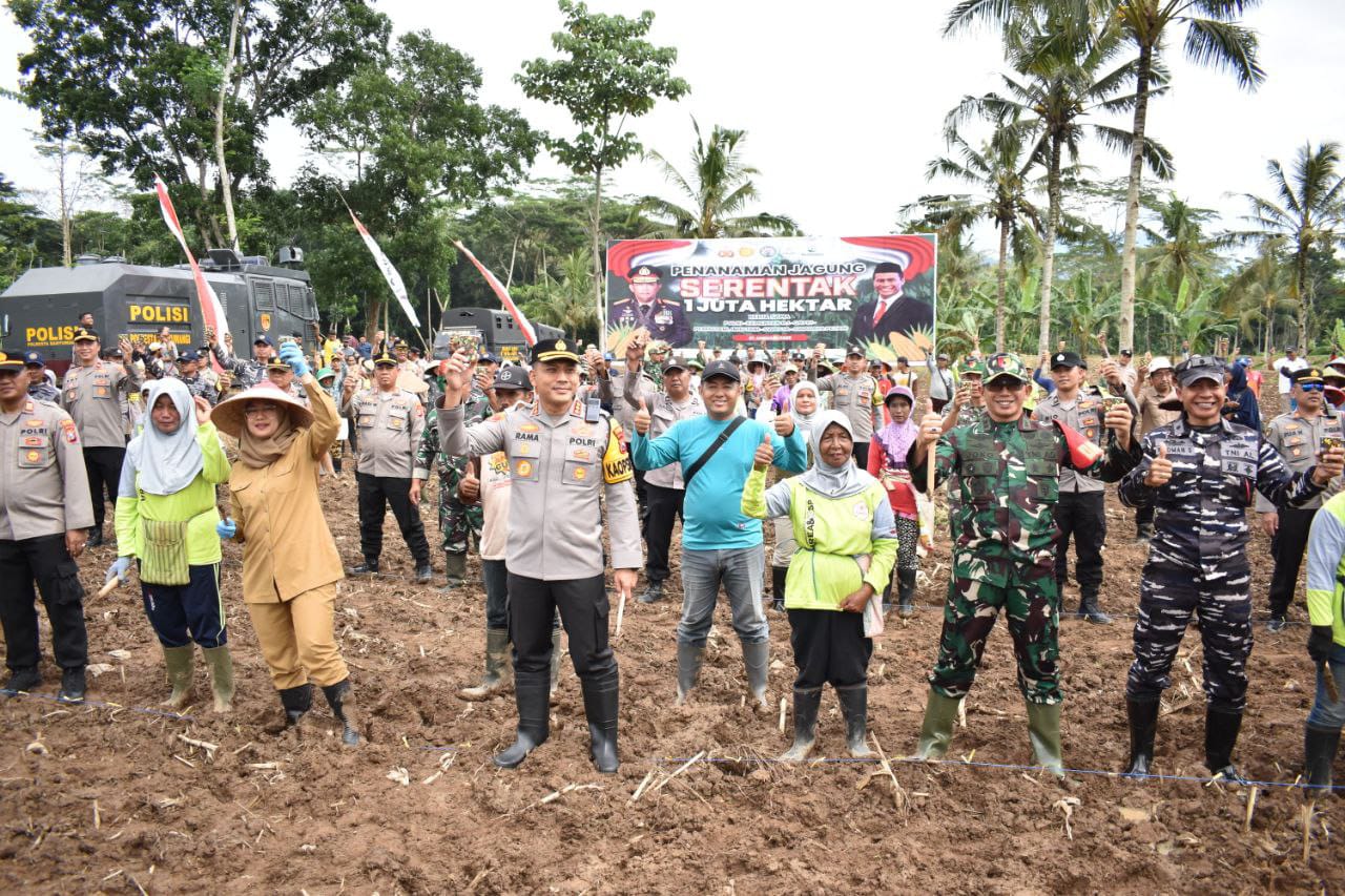 Dandim 0825/Banyuwangi Bersatu Sukseskan Penanaman Jagung 1 Juta Hektare