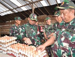 Dandim 0825/Banyuwangi Tinjau Peternakan Ayam Petelur Milik Danramil 0825/19 Sempu