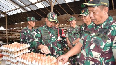 Dandim 0825/Banyuwangi Tinjau Peternakan Ayam Petelur Milik Danramil 0825/19 Sempu