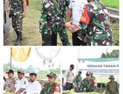 Dandim 0825/Banyuwangi Bersama Dinas Pertanian dan Pangan Banyuwangi Sukseskan Gerakan Tanam Padi Bersama