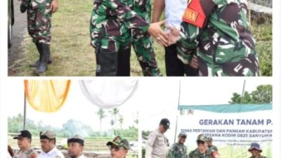 Dandim 0825/Banyuwangi Bersama Dinas Pertanian dan Pangan Banyuwangi Sukseskan Gerakan Tanam Padi Bersama