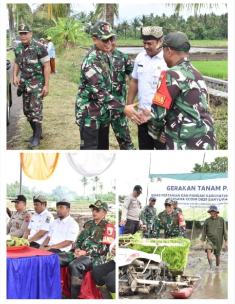 Dandim 0825/Banyuwangi Bersama Dinas Pertanian dan Pangan Banyuwangi Sukseskan Gerakan Tanam Padi Bersama