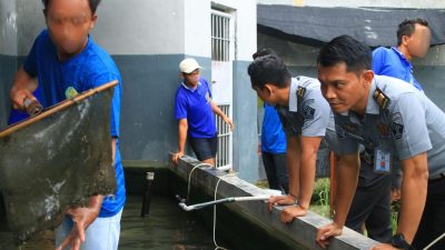 Berdayakan Warga Binaan, Lapas Banyuwangi Berhasil Panen Ikan Lele untuk Mendukung Program Ketahanan Pangan