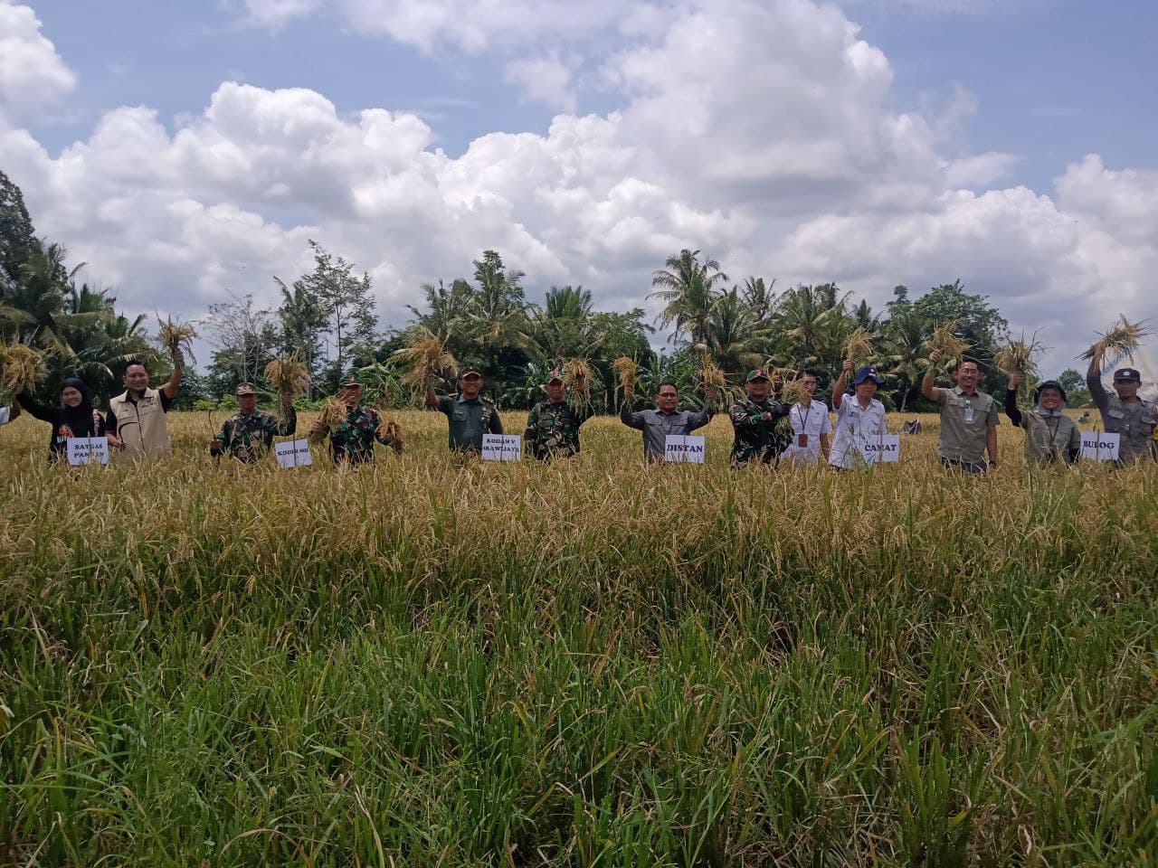 Pasiter Kodim 0825/Banyuwangi Dampingi Pabandya Komsos Sterdam V/Brawijaya Laksanakan Peninjauan Posko Peyerapan Gabah Tahun 2025