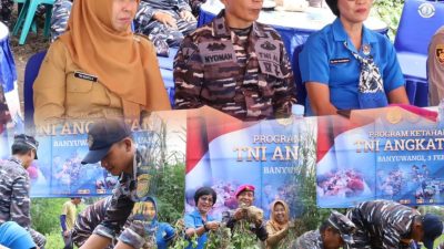 Panen Raya Serentak Jajaran TNI AL, Lanal Banyuwangi Berhasil Panen Ubi Jalar