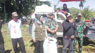 Kasdim 0825/Banyuwangi Pimpin Serapan Gabah Bersama Bulog dan Distan di Kecamatan Srono