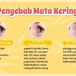 Kebiasaan Sehari Hari Penyebab Mata Kering Panduan Lengkap Untuk Kesehatan Mata Optimal