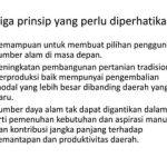 Merangkai Jejak Abadi Insight Penting Soal Petualangan Alam Untuk Jangka Panjang